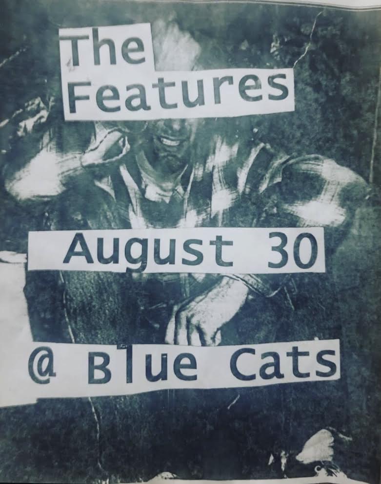 Blue Cats Poster