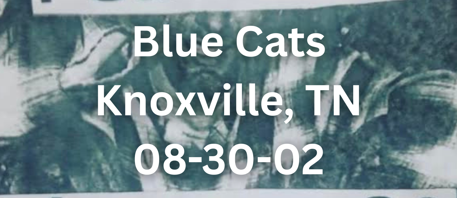 Blue Cats Knoxville, TN — 08-30-02