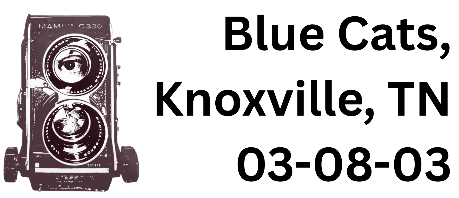 Blue Cats Knoxville, TN — 03-08-03